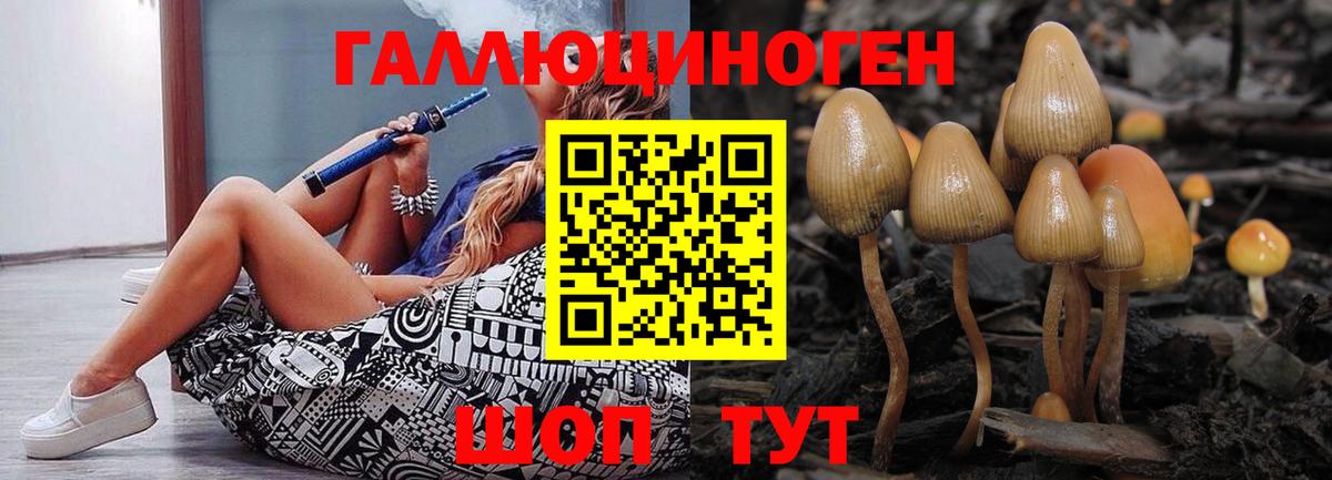 Галлюциногенные грибы мухоморы Кизляр